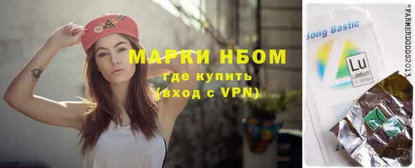 стаф Алексин