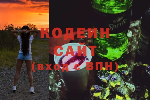 молекула духа Алзамай