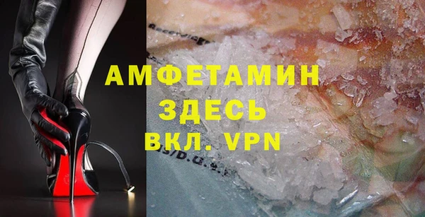 стаф Алексин