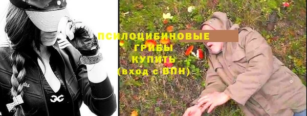 МДПВ Алексеевка