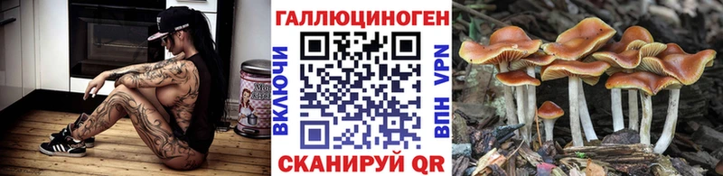 цена наркотик  Краснокамск  Галлюциногенные грибы MAGIC MUSHROOMS 